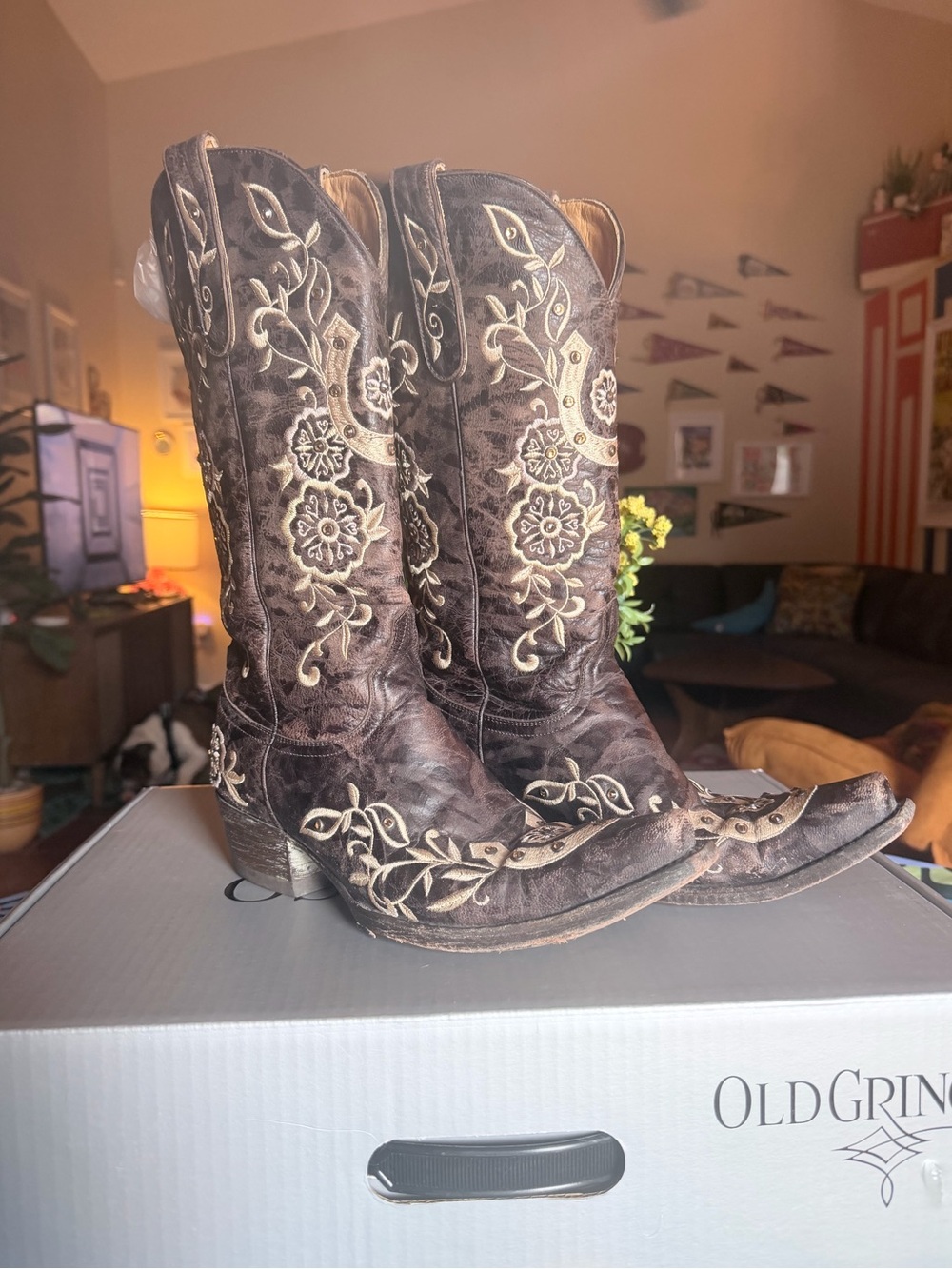 Old Gringo Women's Lucky Western Boots in chocolate brown. Size 8